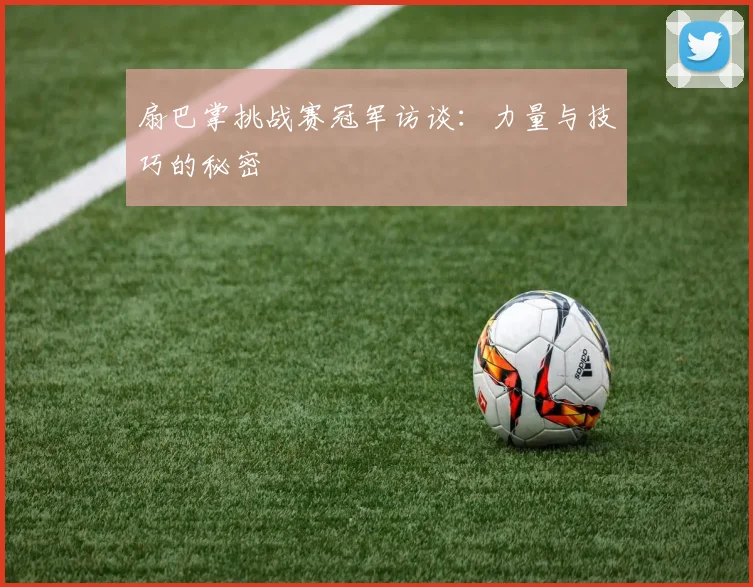 扇巴掌挑战赛冠军访谈：力量与技巧的秘密