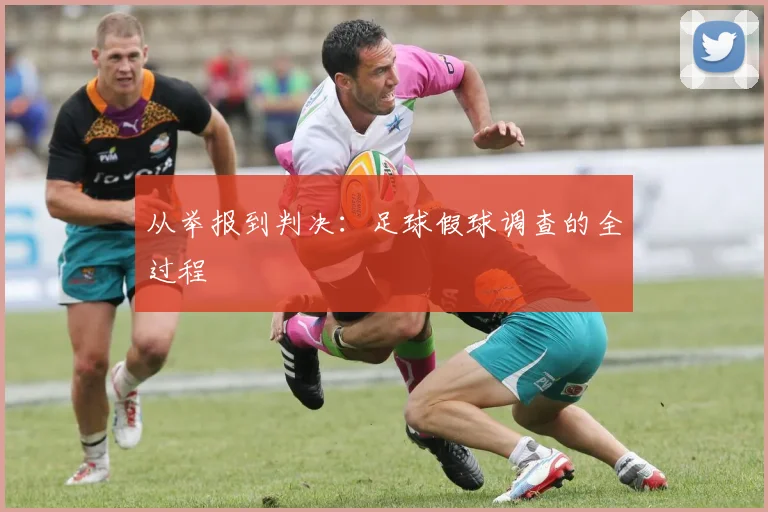 从举报到判决：足球假球调查的全过程