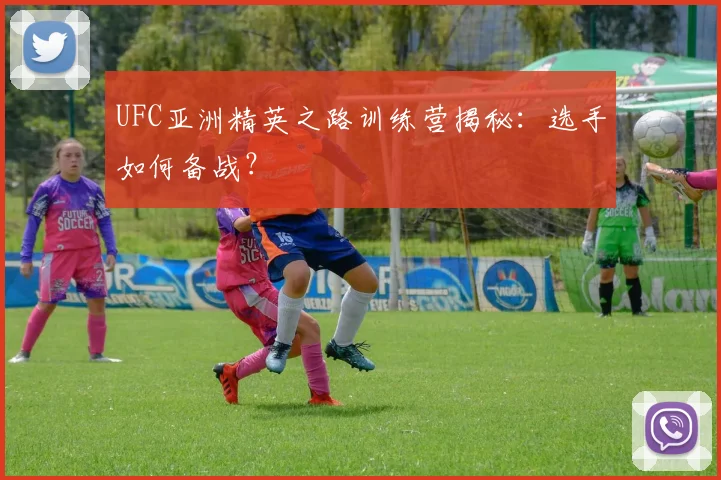 UFC亚洲精英之路训练营揭秘：选手如何备战？